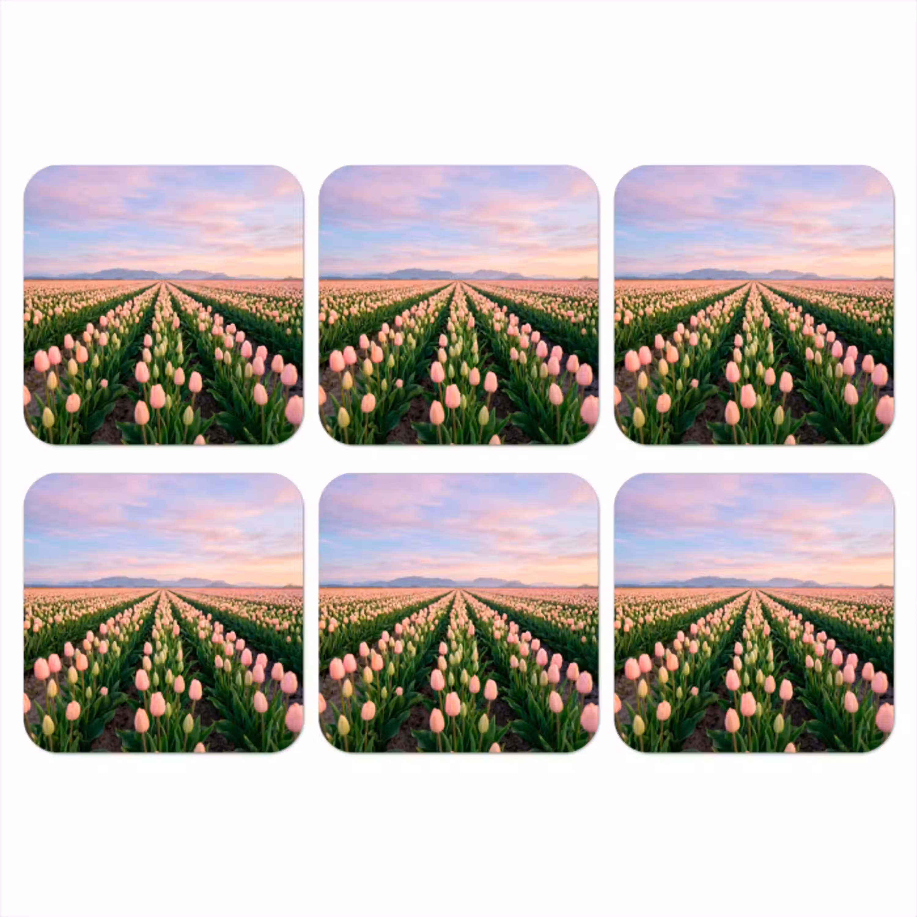 Tulpen - Landschap - Roze onderzetter kurk middel -3d
