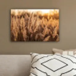 Rietpluimen - Gras - Zonsondergang - Goud - Serene canvas 2cm klein -sfeer3