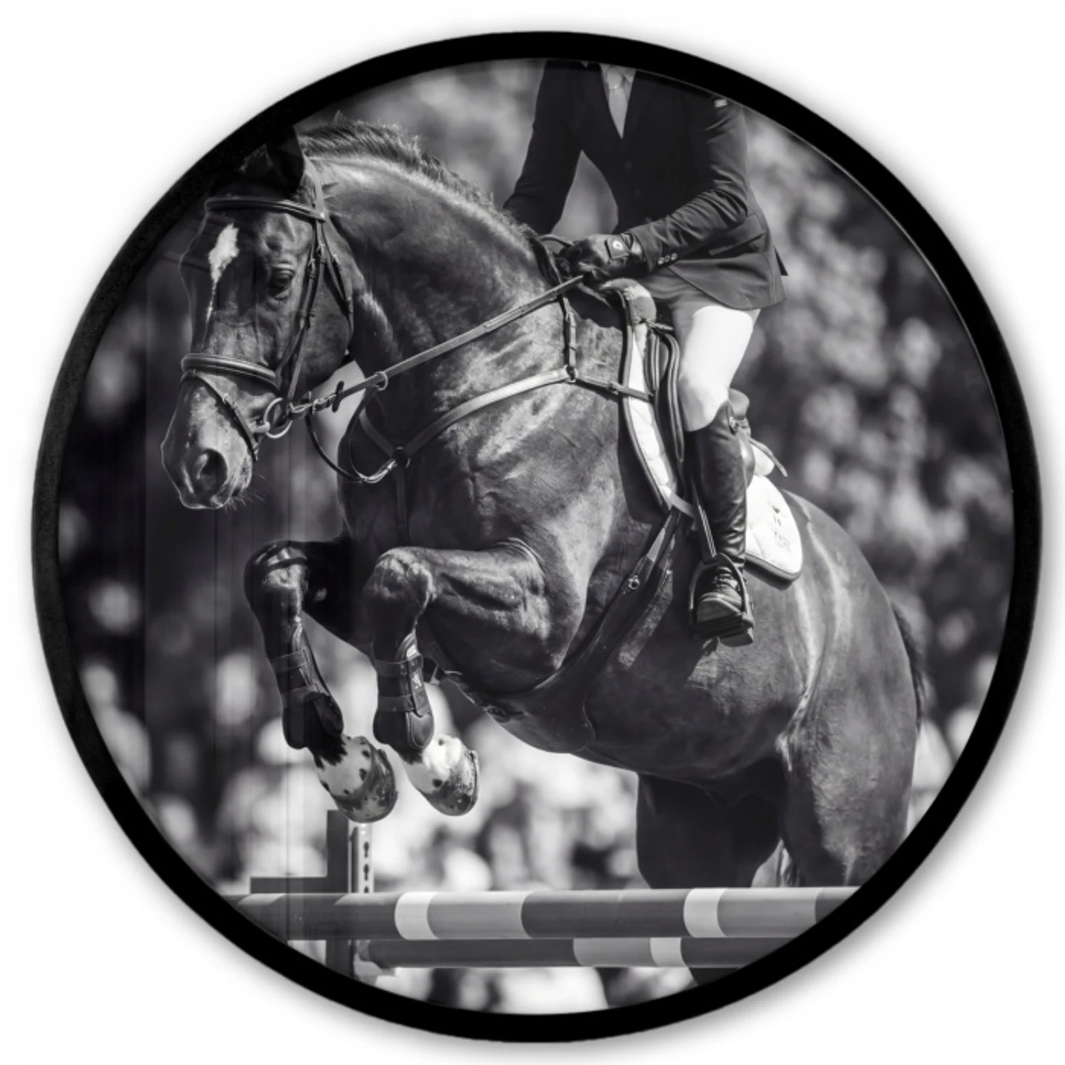 Springen - Paard - Zwart - Wit Fotolijst rond zonder passe partout klein -3d
