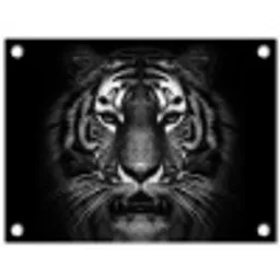 Tijger - Dieren - Zwart - Wit - Portret - Wild tuinposter los doek klein -3d