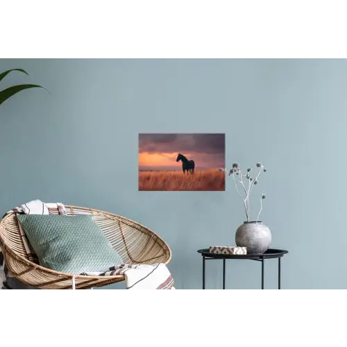 Paard - Wolken - Open veld Muursticker klein -plant