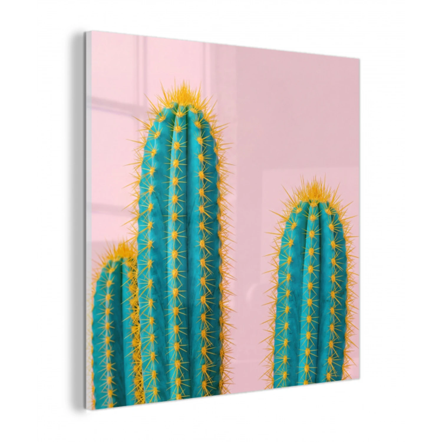 Cactussen - Modern - Pastel plexiglas 5mm klein -z3d