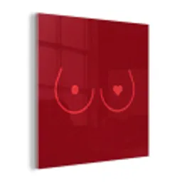 Minimalistisch - Lijnillustratie - Rood plexiglas 5mm klein -z3d