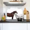 Paard - Modern - Balans Inductie beschemer met haakjes klein -sfeer2