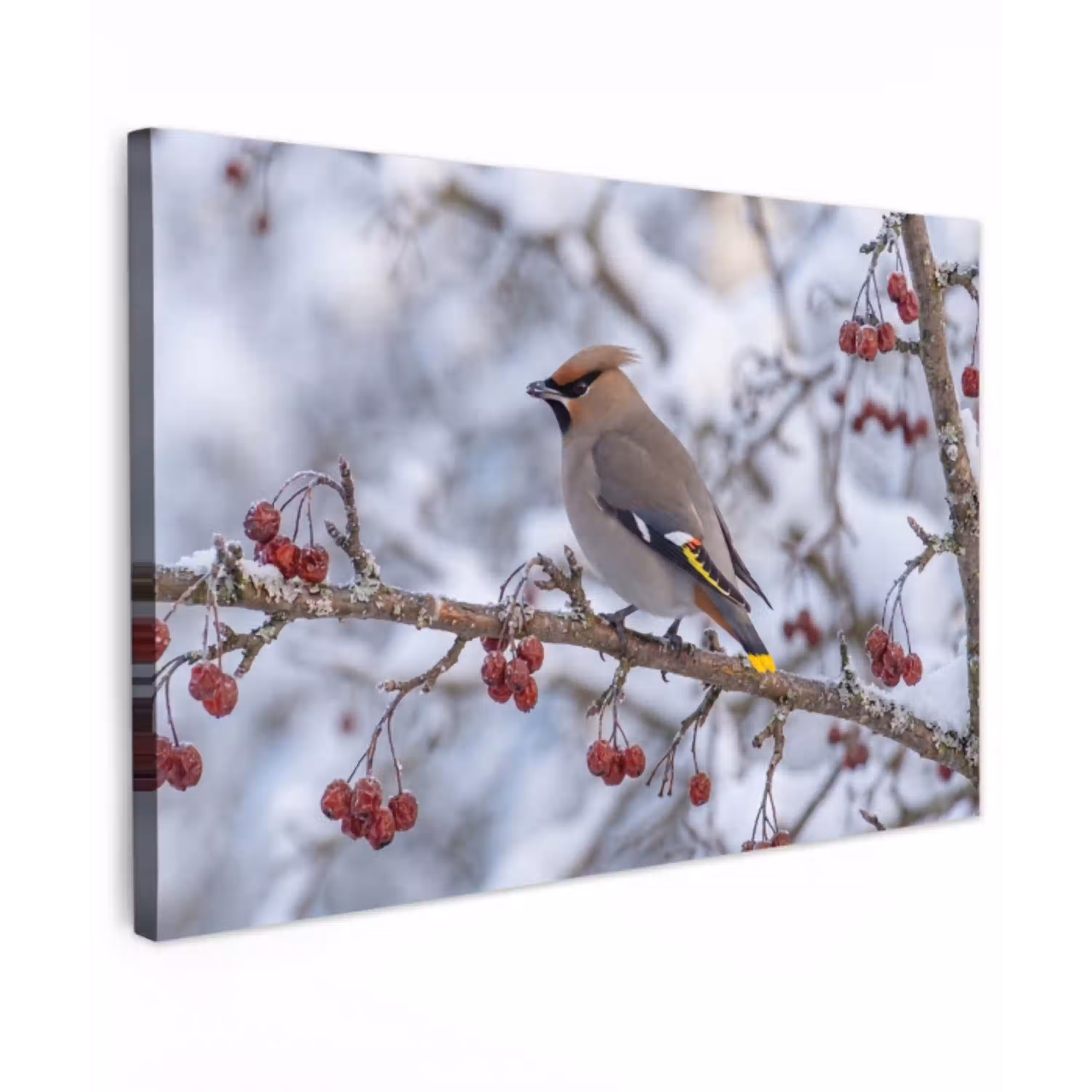 Pestvogel - Bessen - Winter - Natuur Tuinposter op houten frame 2 cm dik klein -3d