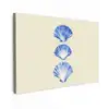 Schelpen - Blauw - Beige canvas 2cm klein -z3d