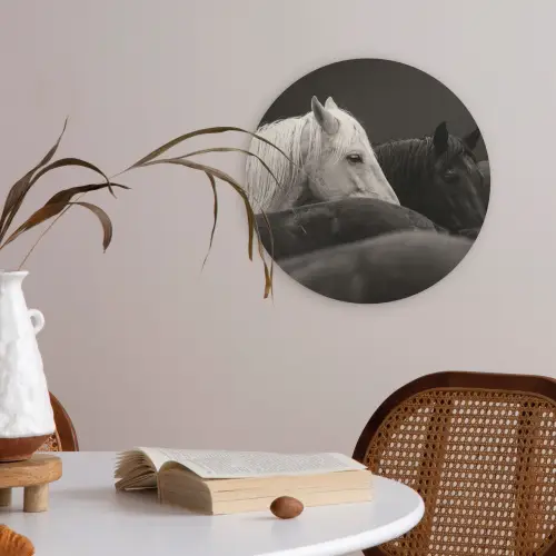 Paarden - Zwart - Wit - Kudde Akoestische PET Vilt - Rond klein -sfeer3