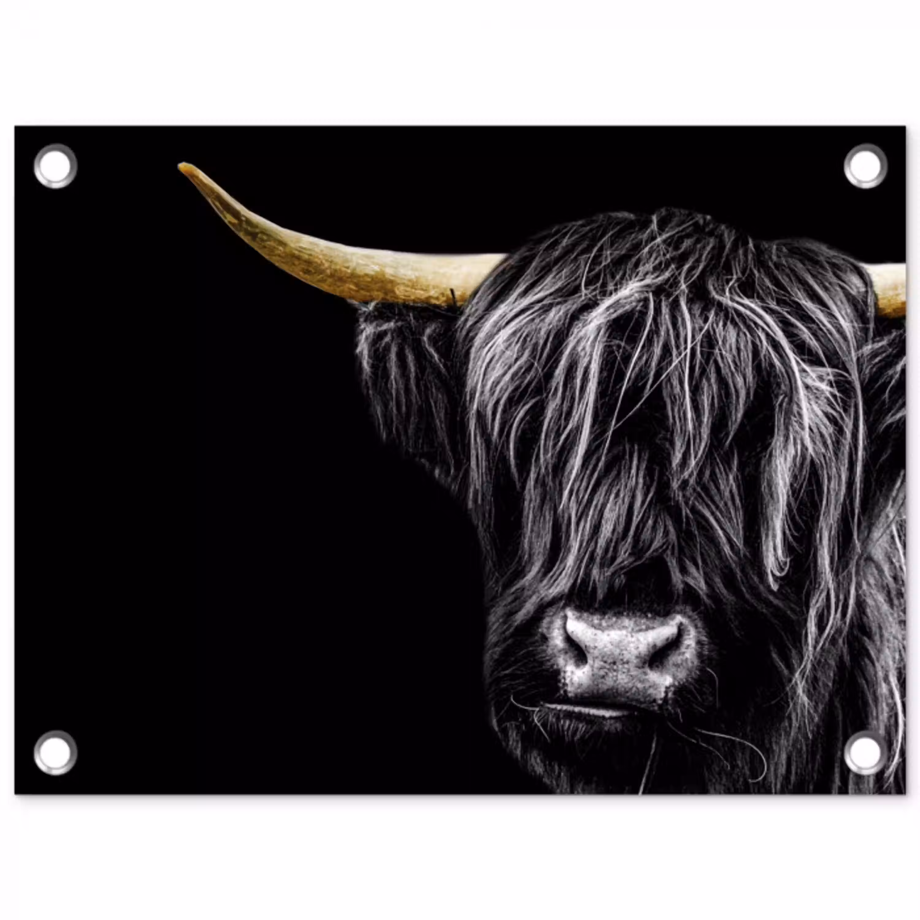 Schotse hooglander - Goud - Vacht - Dieren - Koe tuinposter los doek klein -3d