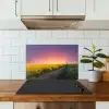 Bloemen - Weg - Lucht - Geel - Paars - Zonsondergang - Natuur keuken achterwand spatscherm klein -sfeer2
