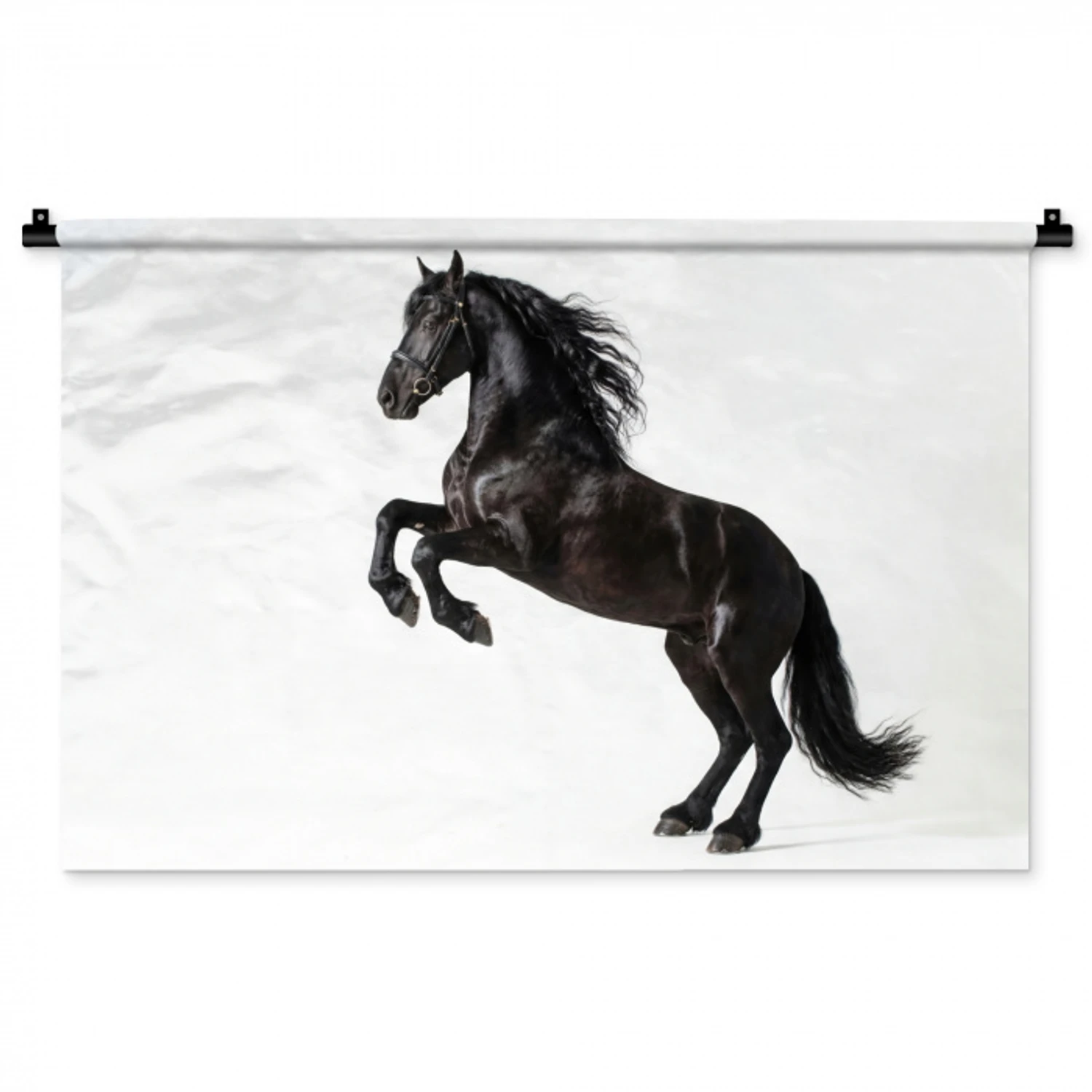 Zwart - Paard - Portret Wandkleed katoen middel -zz3d
