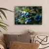 Blauwe bessen - Dauwdruppels - Natuurlijk licht canvas 2cm klein -sfeer1
