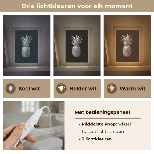 Ananas - Gedetailleerd - Bladeren Light Box met kabel (Tafellamp) klein -USP_lichtkleurNL