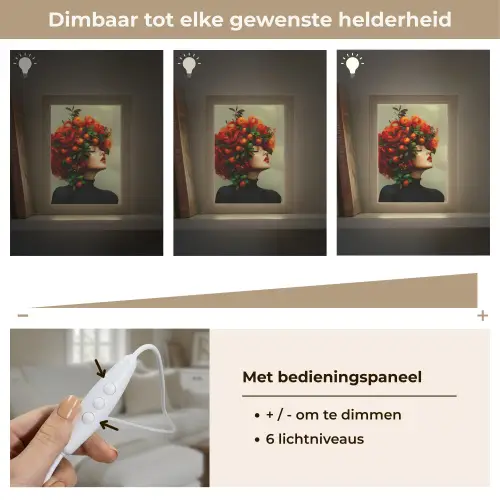 Vrouw - Appels - Rood - Bladeren Light Box met kabel (Tafellamp) klein -USP_dimbaarNL