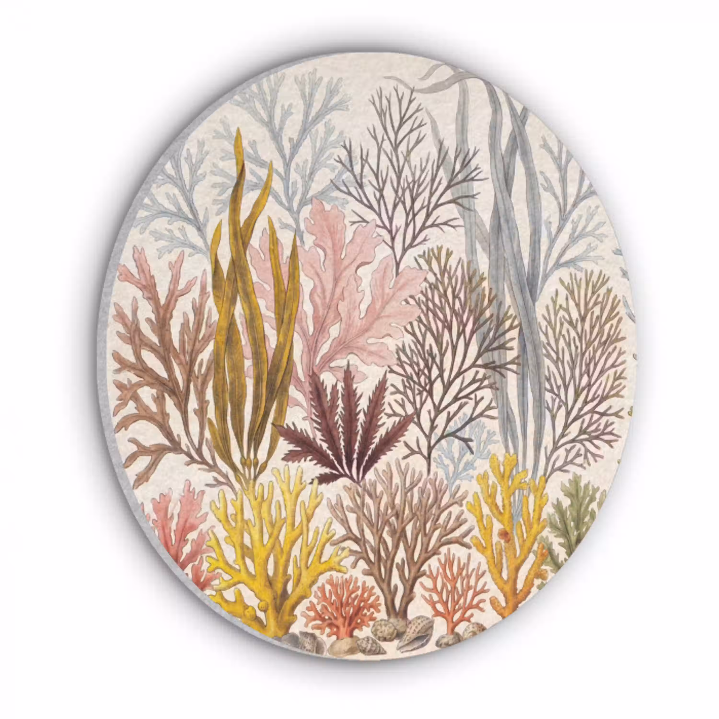 Natuur - Onderwater - Botanisch - Vintage - Kleurrijk Akoestische PET Vilt - Rond klein -3d