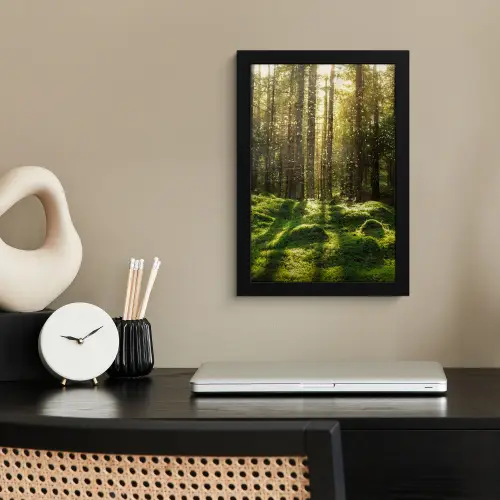 Bomen - Bos - Mos - Planten - Zon - Natuur fotolijst zwart zonder passe partout klein -sfeer1