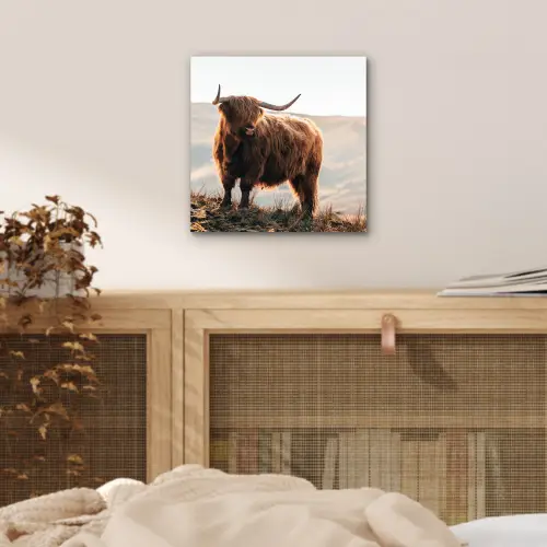 Schotse hooglander - Dieren - Landelijk - Landschap - Koe - Natuur aluminium wit klein -sfeer3