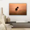 Paard - Grasveld - Zonsondergang canvas 2cm klein -sfeer6