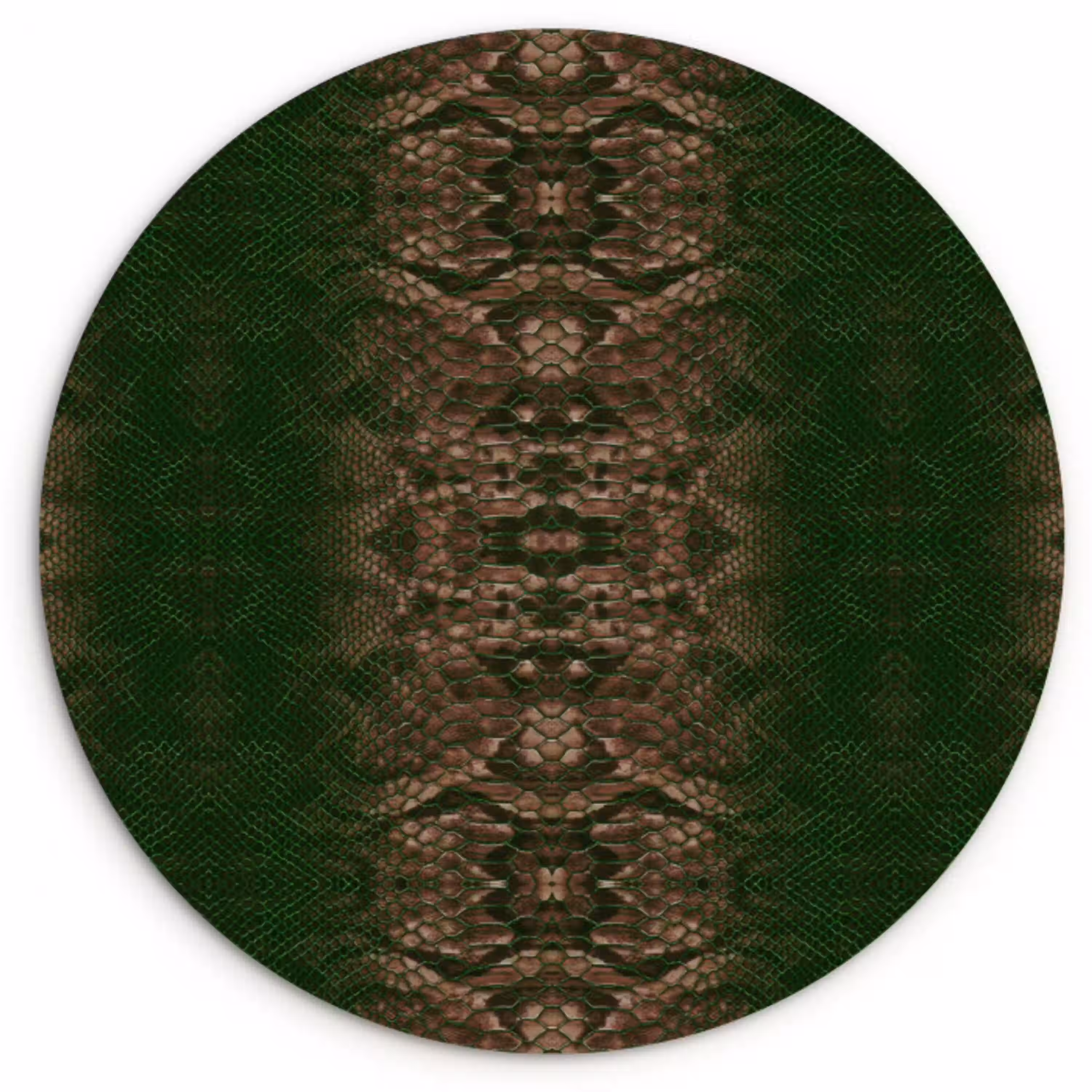 Slang - Boa - Groen - Bruin Wandcirkel plexiglas klein 852 -3d