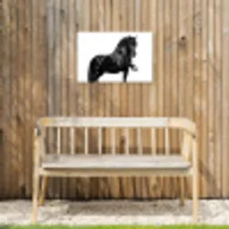 Fries - Hengst - Modern Tuinposter op houten frame 2 cm dik klein -sfeer4
