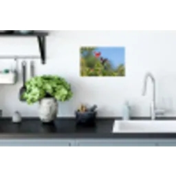 Kolibrie - Bloem - Natuur - Groen Muursticker klein -keuken