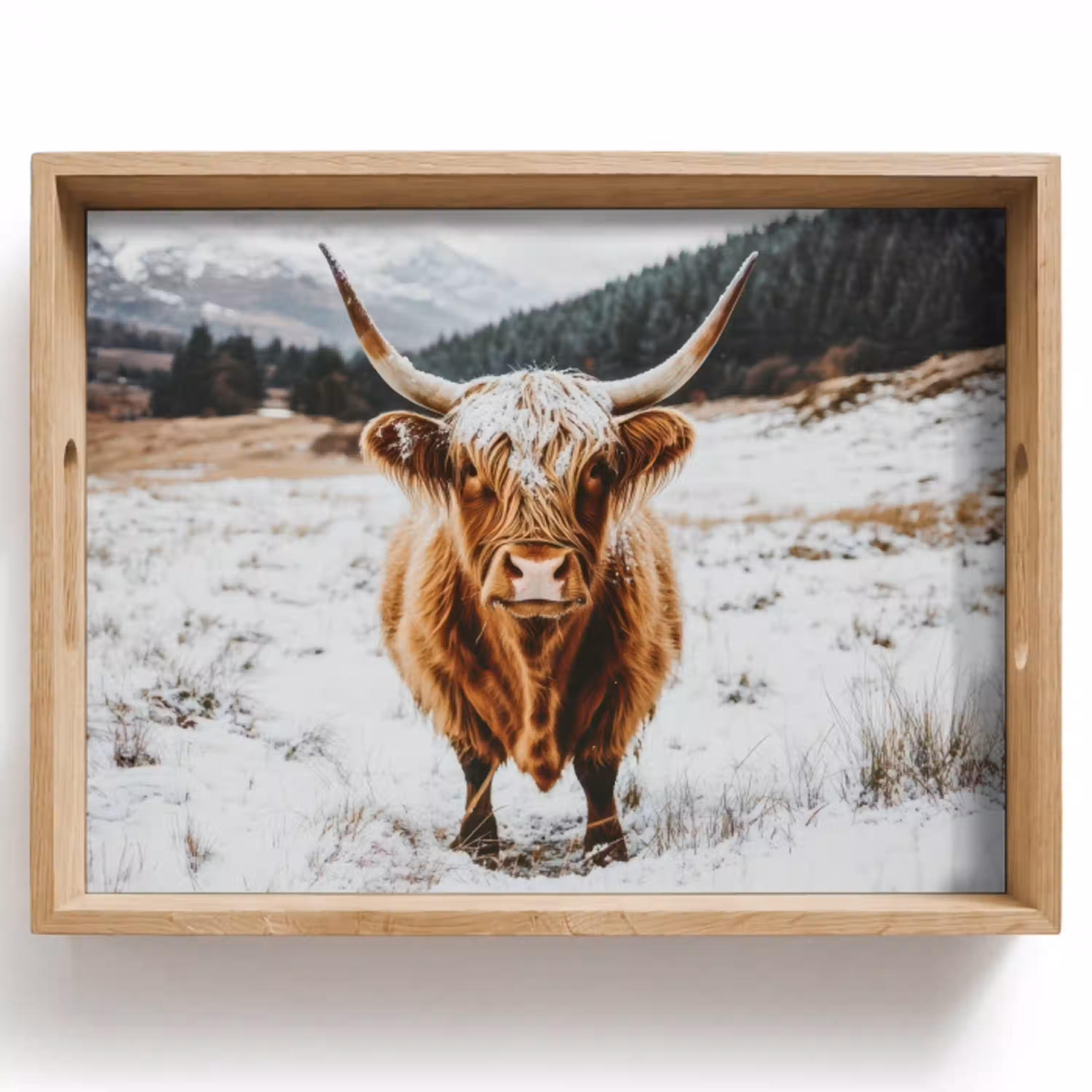 Schotse Hooglander - Landschap - Sneeuw - Bergen - Winter Dienblad Rechthoek middel -z3d_shopping