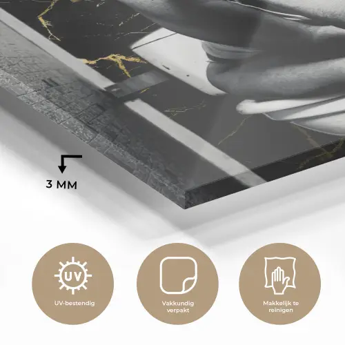 Marmerlook - Meisje met de parel - Sigaretten - Toilet - Goud - Kunst - Oude meesters plexiglas 5mm klein -sfeer2