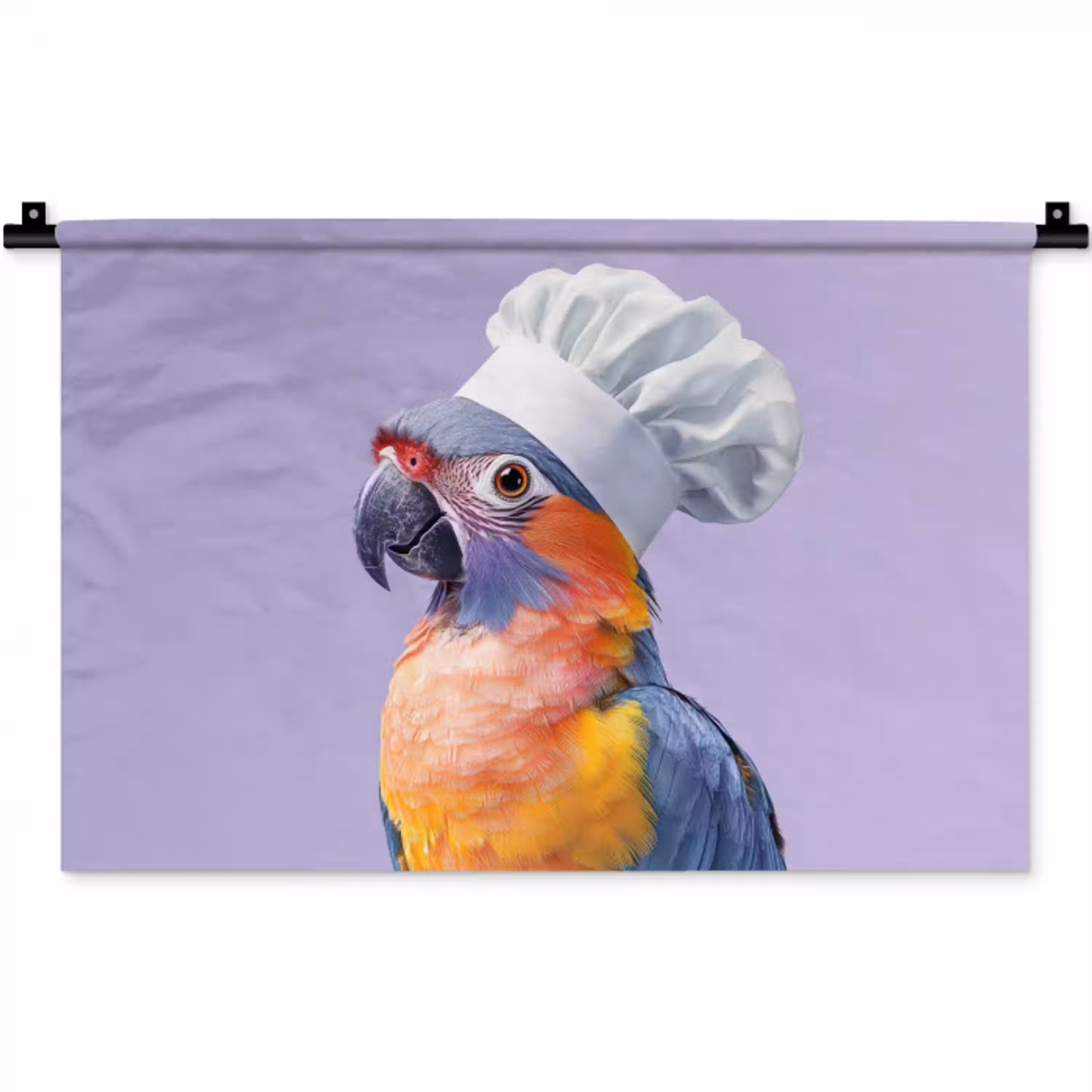 Papegaai - Koksmuts - Paars - Cute Wandkleed katoen klein -zz3d