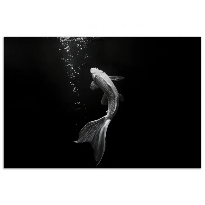 Koi - Vis - Wit - Zwart poster papier klein -3d