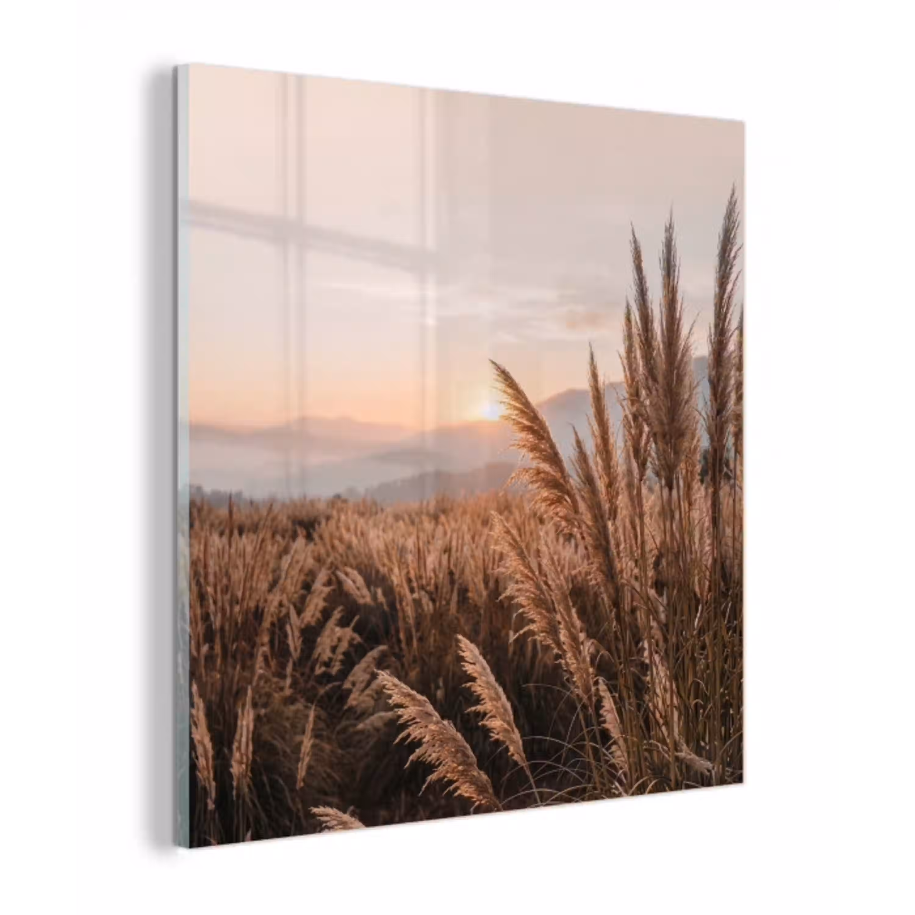 Gras - Veld - Zon - Natuur plexiglas 5mm klein -z3d