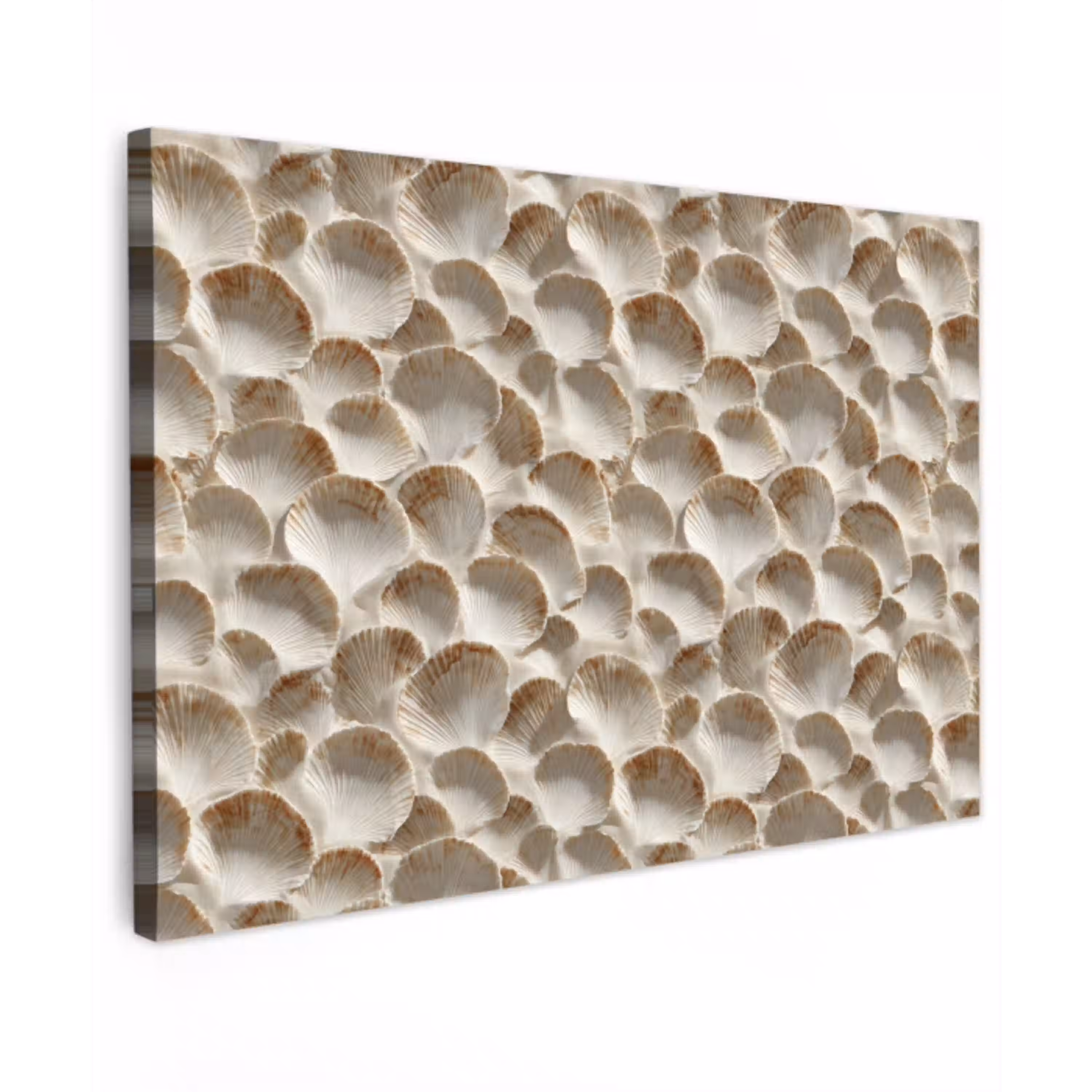 Schelpen - Waaiervorm - Wit Tuinposter op houten frame 2 cm dik klein 845 -3d