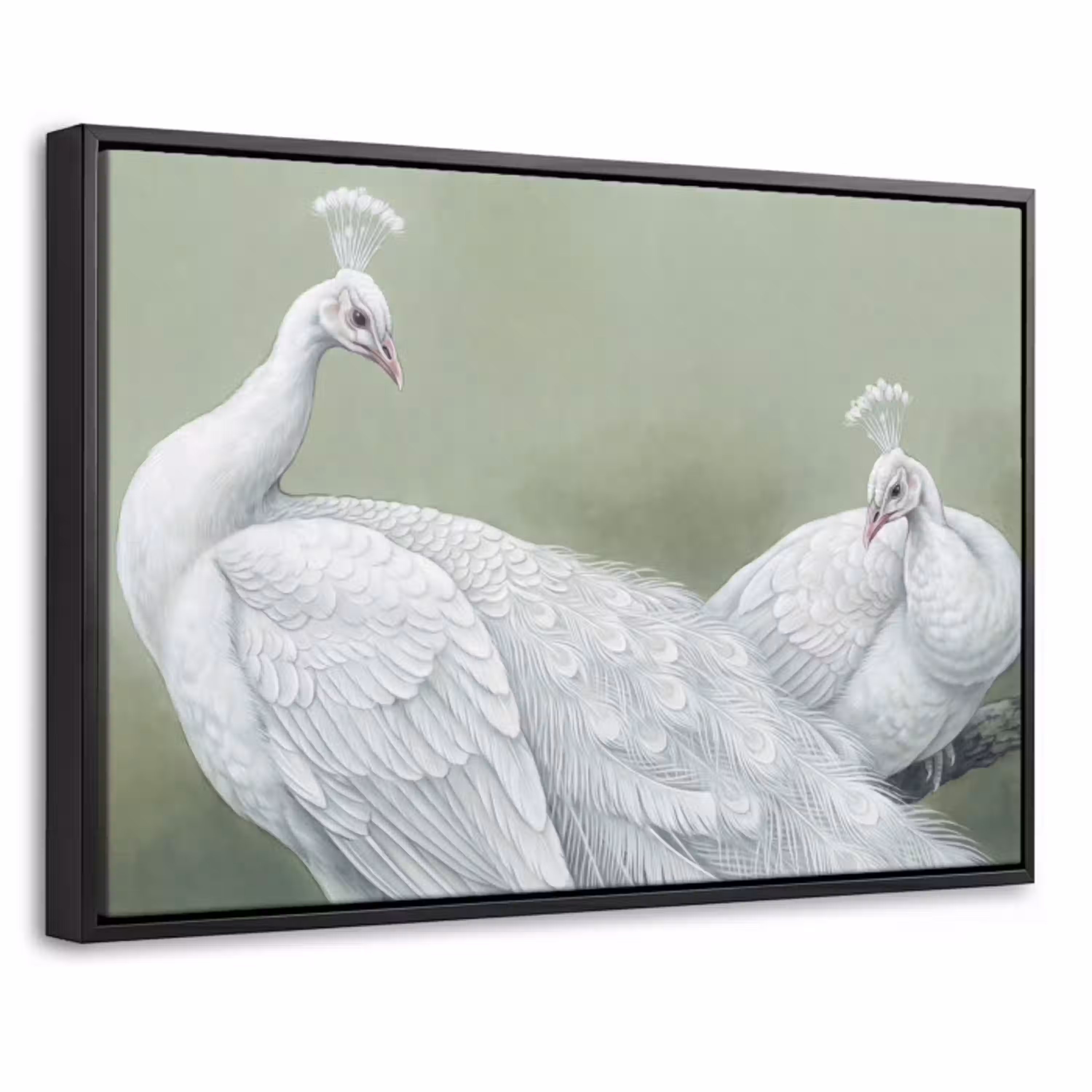 Pauwen - Wit - Natuur - Groen Canvas met baklijst klein -threedimensional_3d_global
