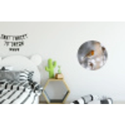 Roodborstje - Gedroogde bloem - Sneeuw - Winter - Vertederend Wandcirkel aluminium klein -kinderkamer