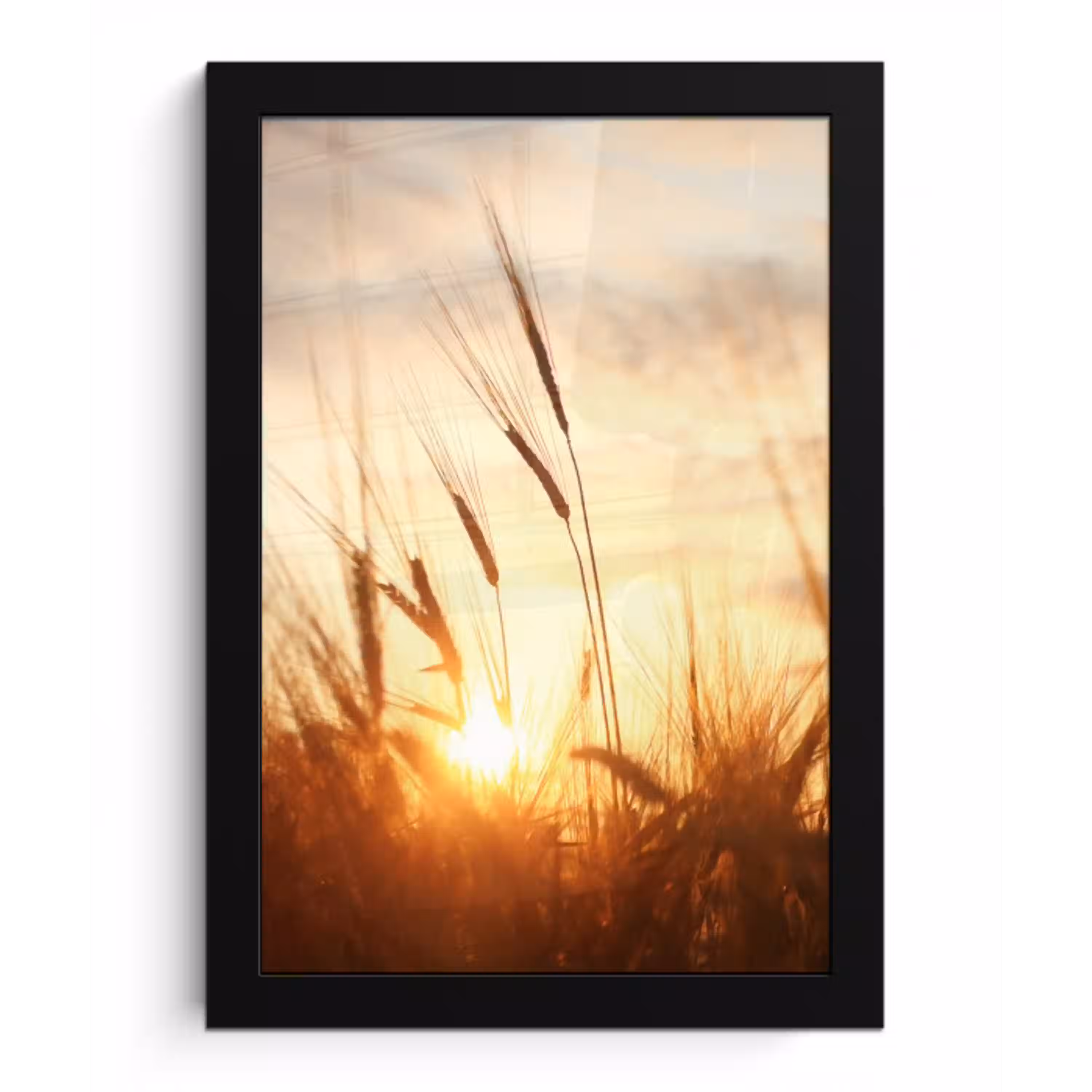 Riet - Gras - Zonsondergang - Natuur - Horizon fotolijst zwart zonder passe partout klein -3d