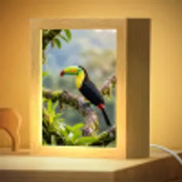 Toekan - Jungle - Natuur - Kleurrijk Light Box met kabel (Kinderlampje) klein -zzzz_3d_website