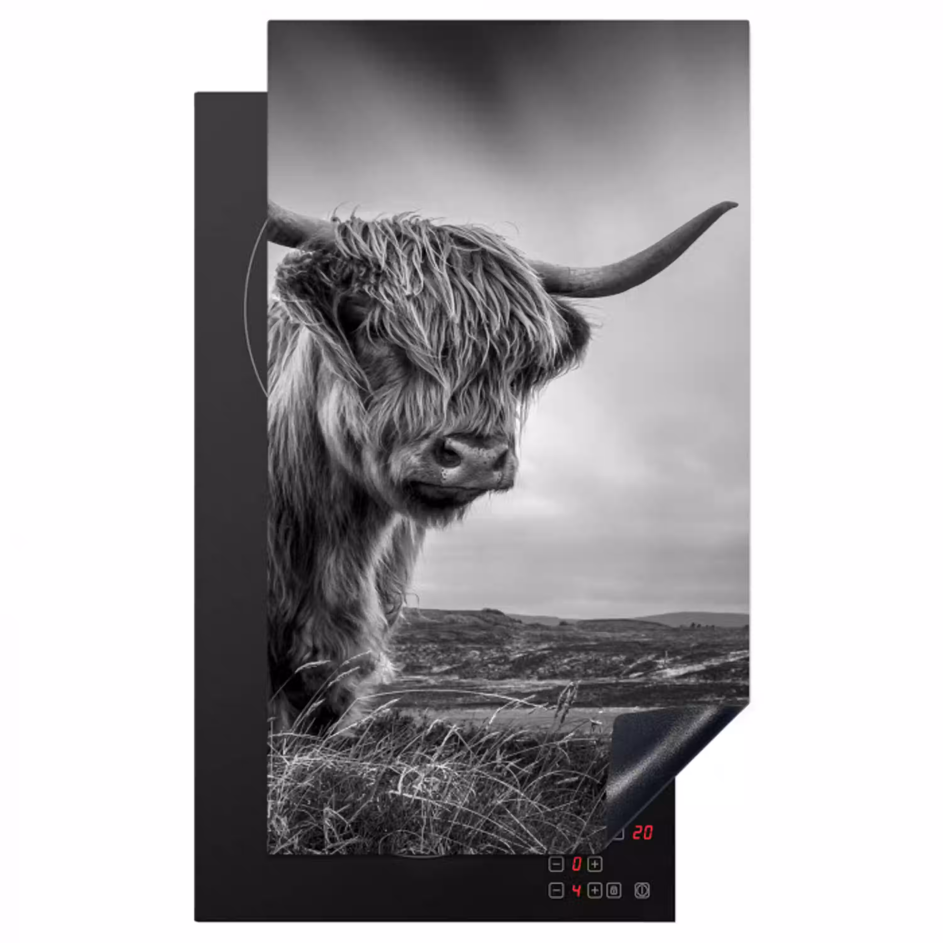 Koeien - Schotse hooglander - Natuur - Dieren - Zwart wit Inductie beschermer vinyl 3mm middel -3d