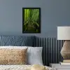 Jungle - Brug - Mos - Natuur - Tropisch fotolijst zwart zonder passe partout klein -sfeer3