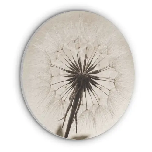 Paardenbloem - Minimalistisch - Wit Akoestische PET Vilt - Rond klein -3d