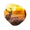 Hert - Dieren - Zonsondergang - Winter - Heide - Natuur Wandcirkel Organisch Forex 3mm klein -3d