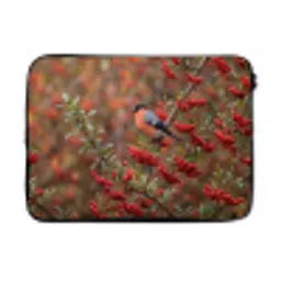 Goudvink - Bessen - Herfst - Natuur - Kleurrijk laptophoes neopreen klein -3d