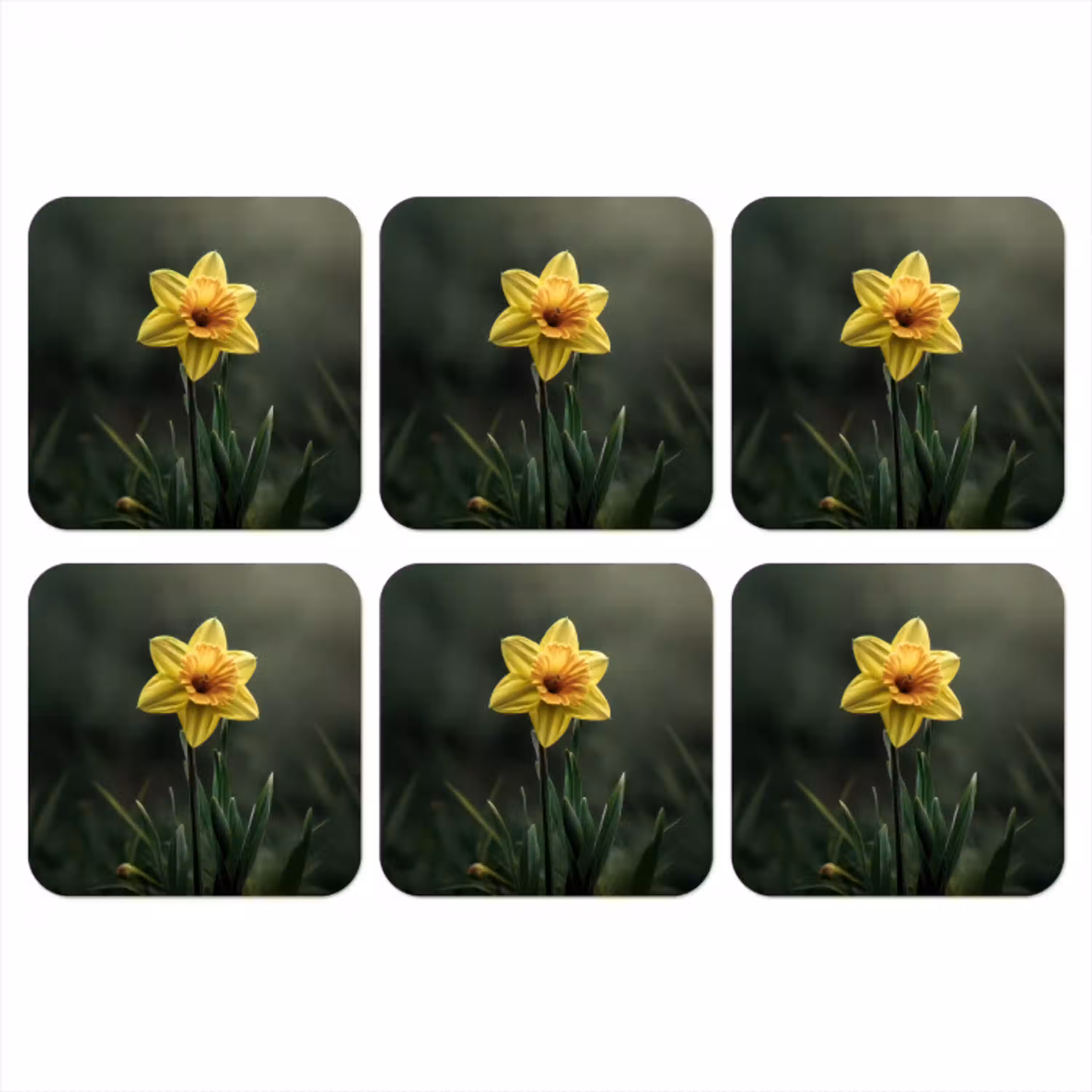 Bloem - Narcis - Gras - Geel onderzetter kurk middel -3d