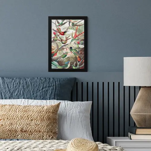 Kolibrie - Vintage - Ernst Haeckel - Vogel - Kunst - Natuur fotolijst zwart zonder passe partout klein -sfeer3