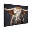 Stier - Kleurrijk - Hoorns Tuinposter op houten frame 2 cm dik klein -3d