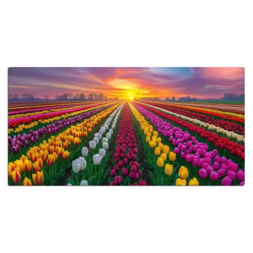 Tulpenveld - Zonsondergang - Kleurrijk Muismat XXL klein -3d_leeg