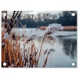 Riet - Gras - Natuur - Winter - Meer tuinposter los doek klein -3d