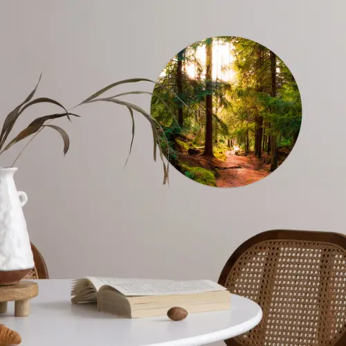 Bos - Pad - Bomen - Groen - Zon - Natuur Wandcirkel behangsticker klein -sfeer3
