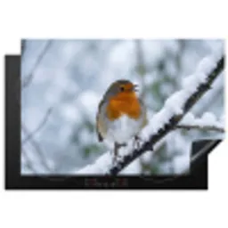 Roodborstje - Tak - Sneeuw - Winter - Levendig Inductie beschermer vinyl 3mm klein -3d