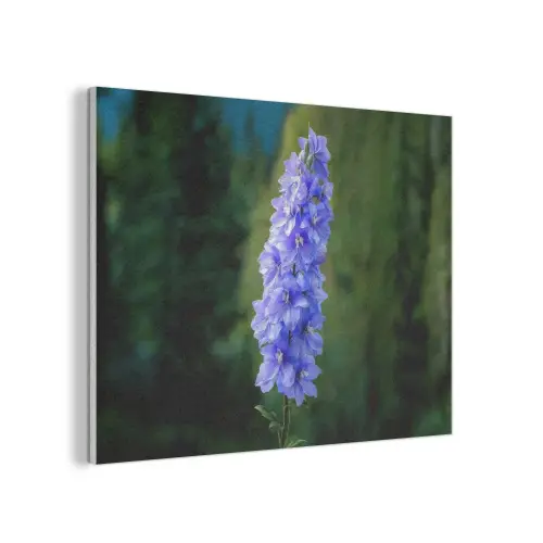Bloemen - Blauw - Dennenboom PET vilt klein -3d