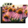 Bloemen - Paars - Bijen Inductie beschemer met haakjes klein -3d