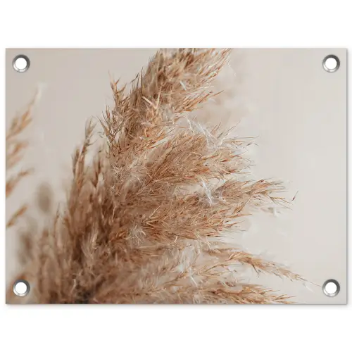 Gras - Planten - Natuur - Pampasgras tuinposter los doek klein -3d