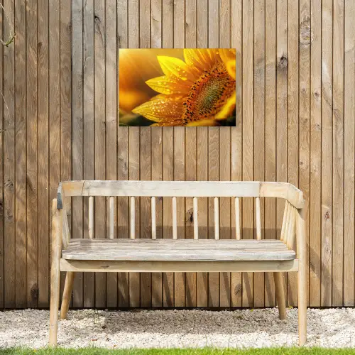 Zonnebloem - Dauwdruppels - Geel - Zonlicht Tuinposter op houten frame 2 cm dik klein -sfeer4